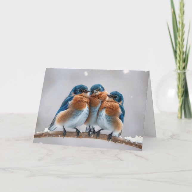 Cartão Birthday Bluebird em uma ramificação de inverno (Frente)