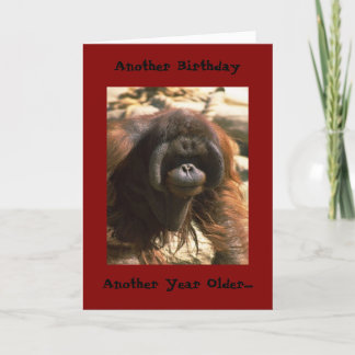 Cartão Birthday Brother Card