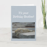 Cartão Birthday BROTHER Fun Age Humor Polar Bear Animal<br><div class="desc">Birthday Blahs for your BROTHER Fun Age Just because you've had a lot of them.  Humorous depressed Polar Bear Animal art</div>