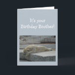 Cartão Birthday BROTHER Fun Age Humor Polar Bear Animal<br><div class="desc">Birthday Blahs for your BROTHER Fun Age Just because you've had a lot of them.  Humorous depressed Polar Bear Animal art</div>