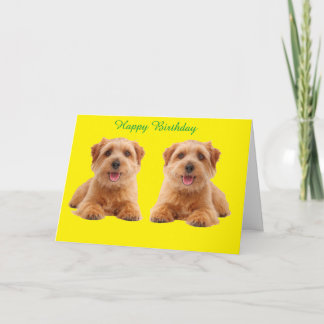 Cartão Birthday Card