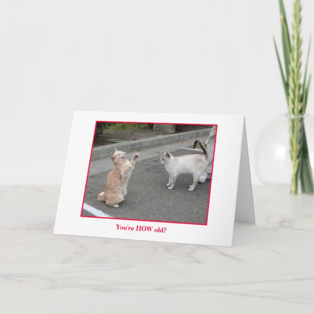 Cartão Birthday card (Frente)