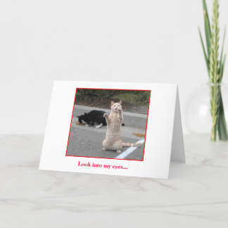 Cartão Birthday Card