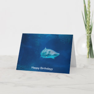 Cartão Birthday Card
