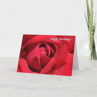 Cartão Birthday Card
