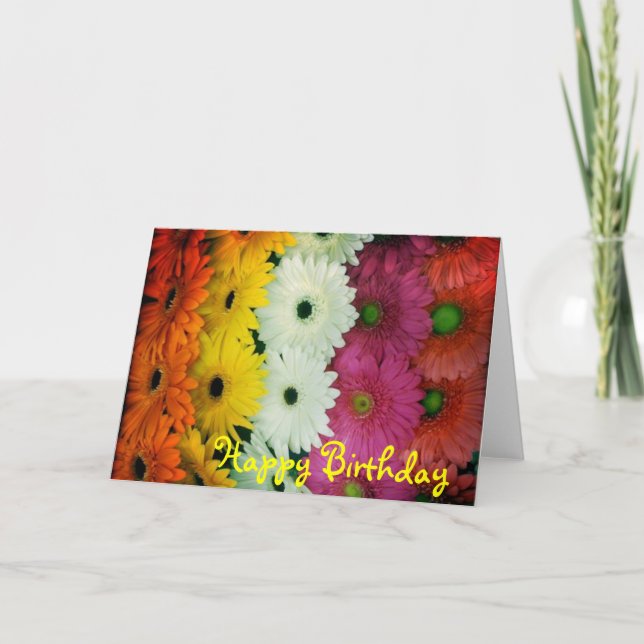 Cartão Birthday card~ Colorful Gerbera Daisy (Frente)