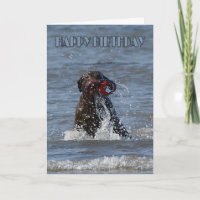 Birthday Card - Dog Playing Chocolate Labrador