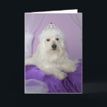 Cartão Birthday Card for Granddaughter -- Princess<br><div class="desc">This adorable dog princess photo makes a great birthday card for your granddaughter! Image and verse  Kathy Henis</div>