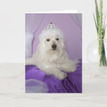 Cartão Birthday Card for Granddaughter -- Princess<br><div class="desc">This adorable dog princess photo makes a great birthday card for your granddaughter! Image and verse  Kathy Henis</div>