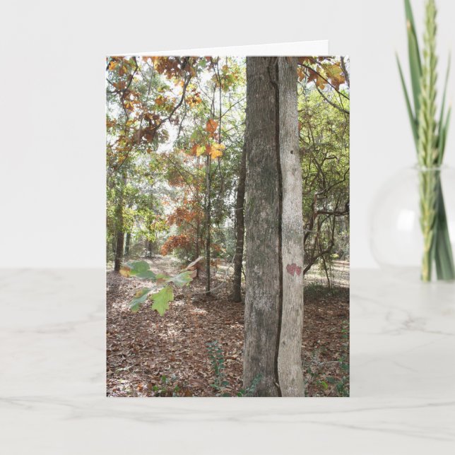 Cartão Birthday card for that special Son (Frente)