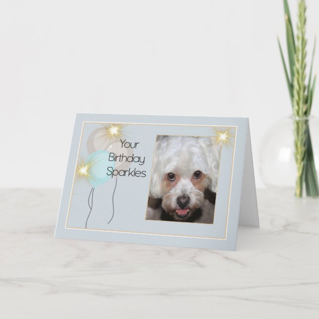 Cartão Birthday Card from Pet Lhasa Apso Dog (Frente)