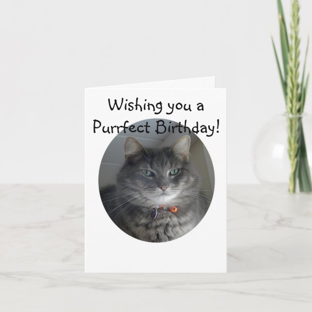 Cartão Birthday Card - Merlin the Cat (Frente)