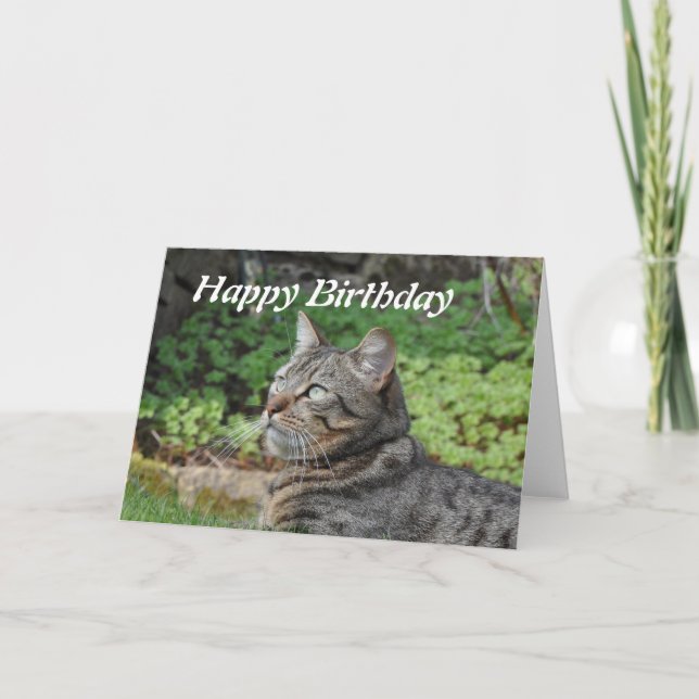 Cartão Birthday Card: Minnie the Cat (Frente)