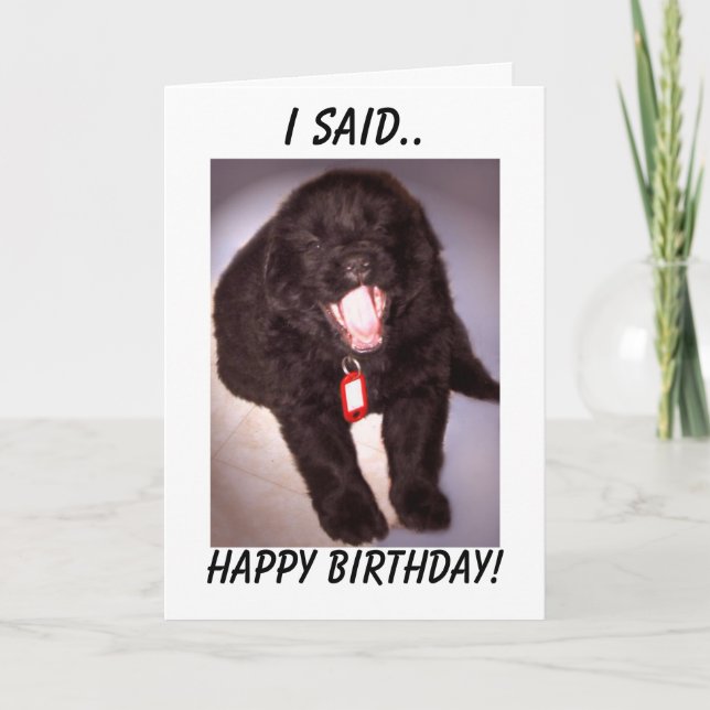 Cartão Birthday Card Newfoundland Puppy (Frente)