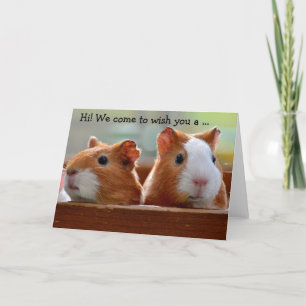 Cartão Birthday Card: Two Guinea Pigs