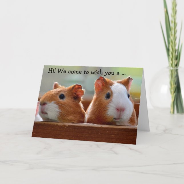 Cartão Birthday Card: Two Guinea Pigs (Frente)
