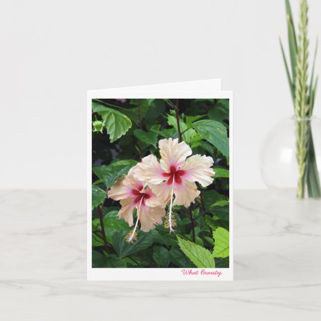 Cartão Birthday card- What Beauty (Frente)