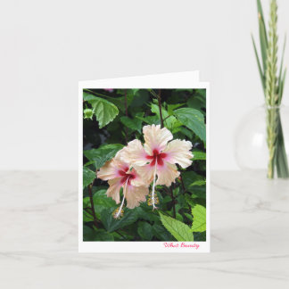 Cartão Birthday card- What Beauty