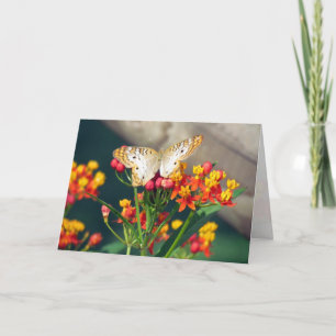 Cartão Birthday Card - White Peacock Butterflies