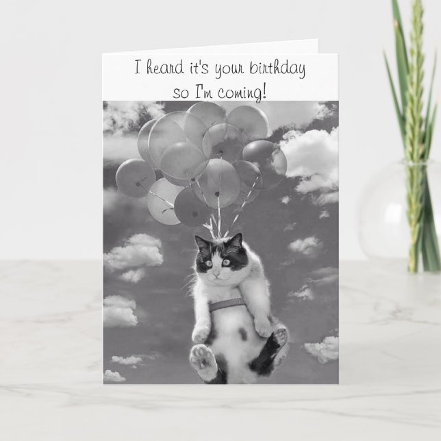 Cartão Birthday Card with flying Cat (Frente)