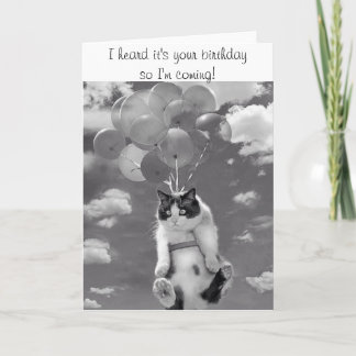 Cartão Birthday Card with flying Cat