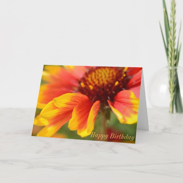 Cartão Birthday Card with Orange Flower (Frente)