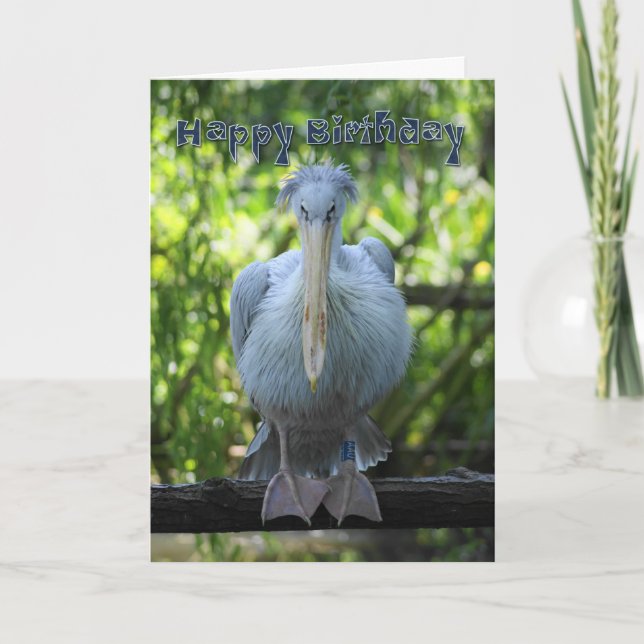Cartão Birthday Card with pelican (Frente)