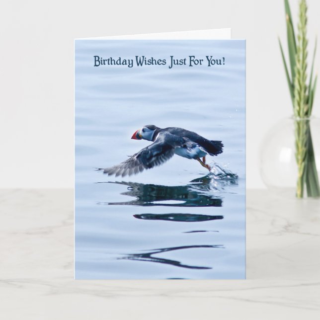 Cartão Birthday Card with Puffin (Frente)