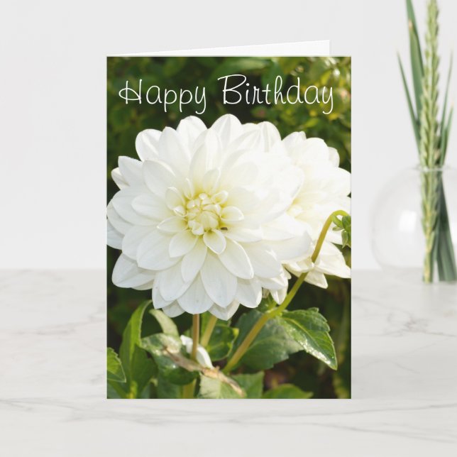 Cartão Birthday card with white dahlias (Frente)