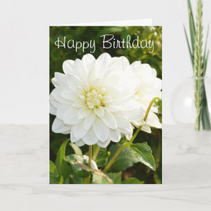 Cartão Birthday card with white dahlias