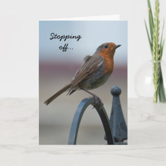 Cartão Birthday Card: Young British Robin