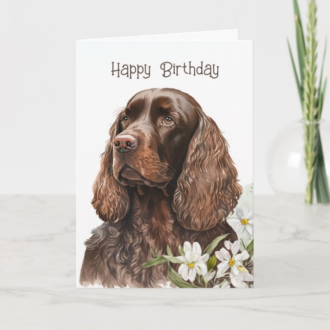 Cartão Birthday Chocolate Cocker Spaniel (Frente)