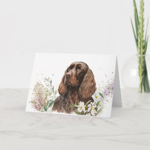 Cartão Birthday Chocolate Cocker Spaniel