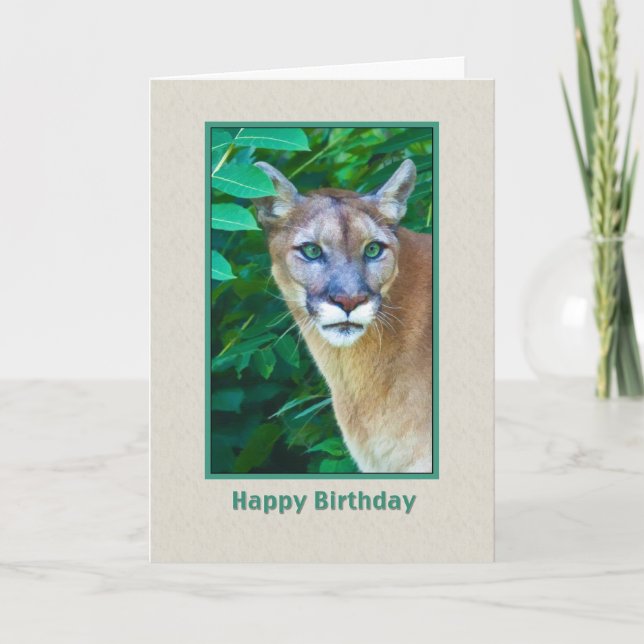 Cartão Birthday, Cougar in the Jungle Card (Frente)