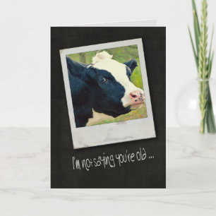 Cartão Birthday Cow Humor