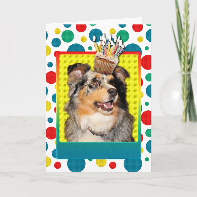 Cartão Birthday Cupcake - Australian Shepherd - Dustine (Frente)