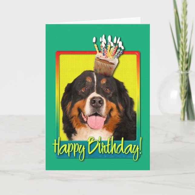 Cartão Birthday Cupcake - Bernese Mountain Dog (Frente)