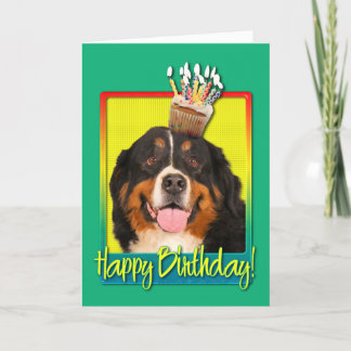 Cartão Birthday Cupcake - Bernese Mountain Dog