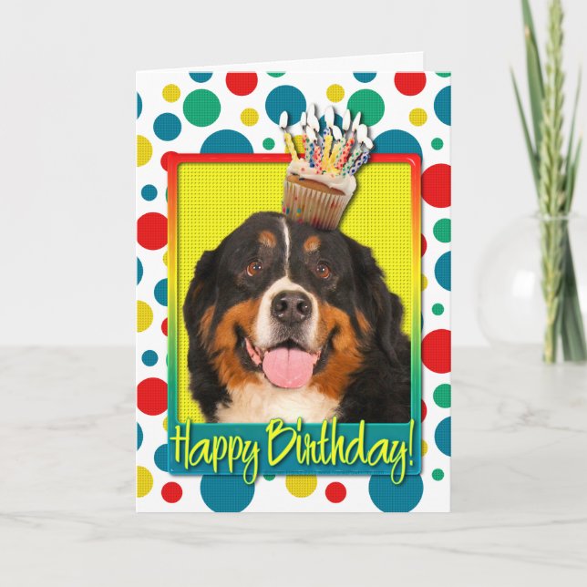 Cartão Birthday Cupcake - Bernese Mountain Dog (Frente)