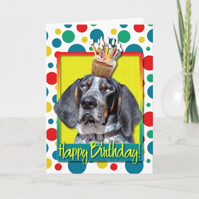 Cartão Birthday Cupcake - Bluetick Coonhound - Chuck (Frente)