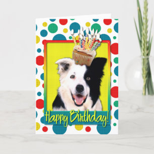 Cartão Birthday Cupcake - Border Collie