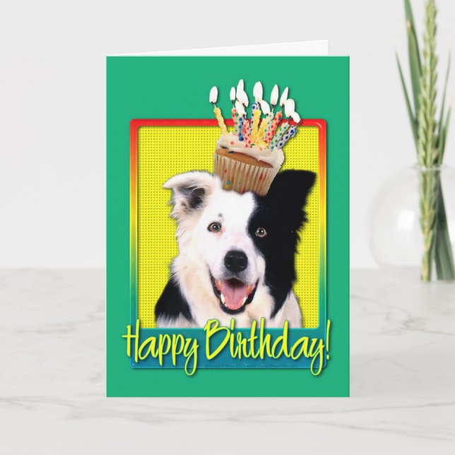 Cartão Birthday Cupcake - Border Collie (Frente)