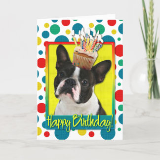 Cartão Birthday Cupcake - Boston Terrier