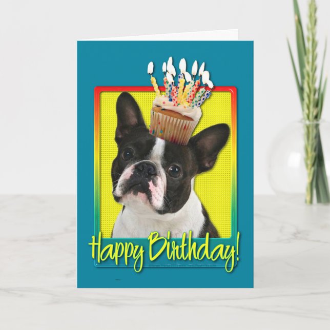 Cartão Birthday Cupcake - Boston Terrier (Frente)