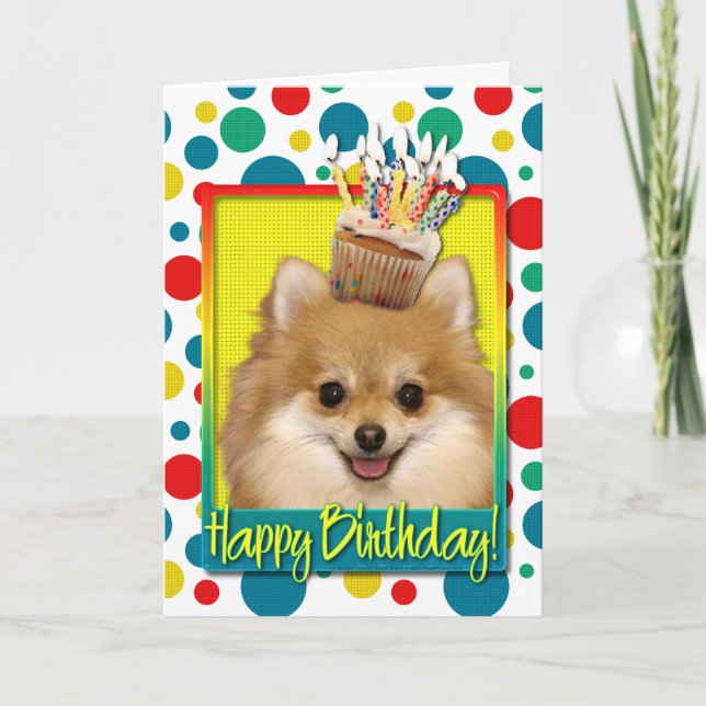 Cartão Birthday Cupcake - Pomeranian (Frente)
