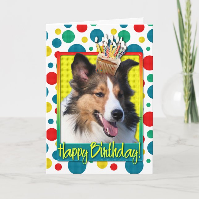 Cartão Birthday Cupcake - Sheltie (Frente)