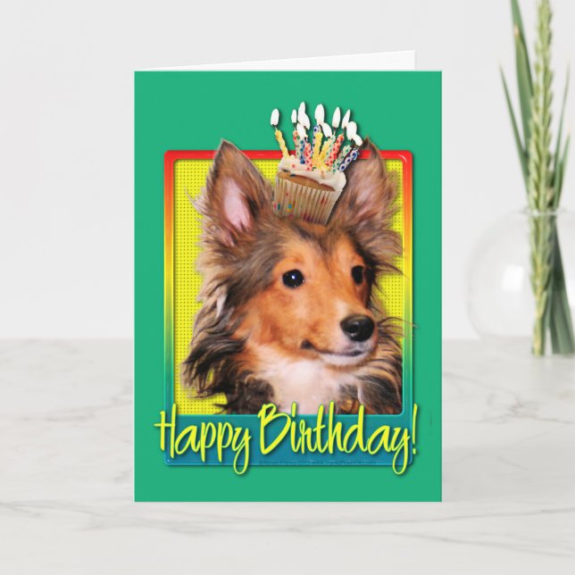 Cartão Birthday Cupcake - Sheltie Puppy - Cooper (Frente)