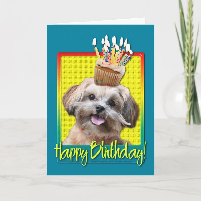 Cartão Birthday Cupcake - ShihPoo - Maggie (Frente)