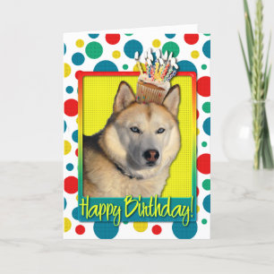 Cartão Birthday Cupcake - Siberian Husky - Copper