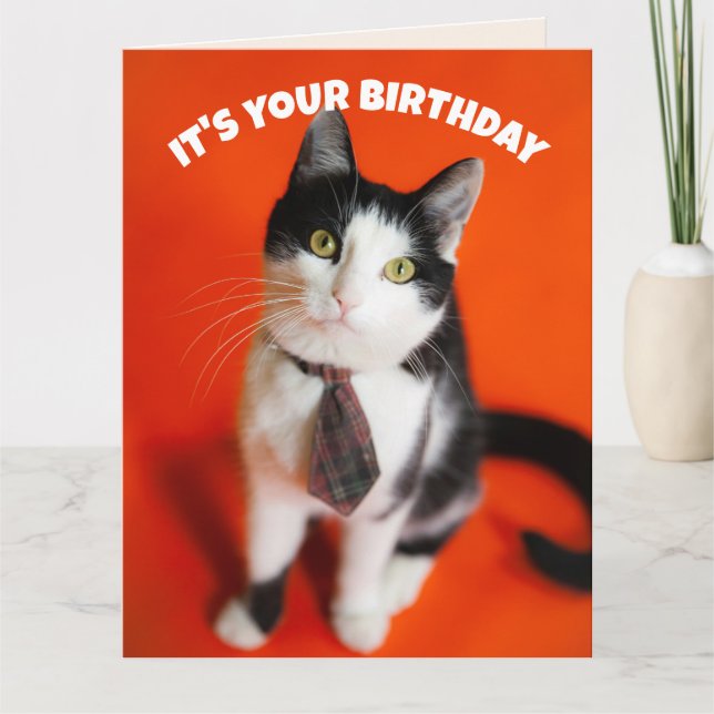 CARTÃO  BIRTHDAY CUTE TIE CAT FRIEND GREETING CARD (Frente)
